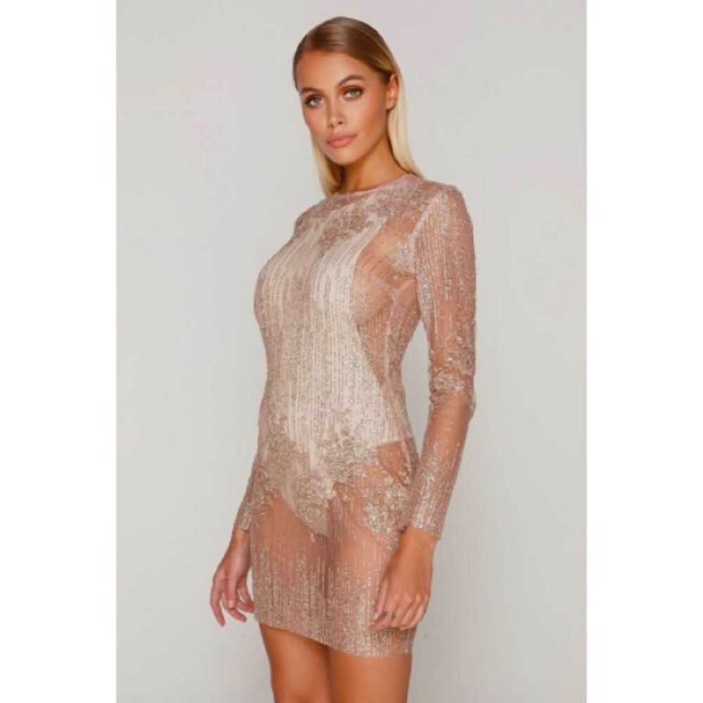 Tammy Hembrow Rose Gold Bodycon Glitter Mesh Dress